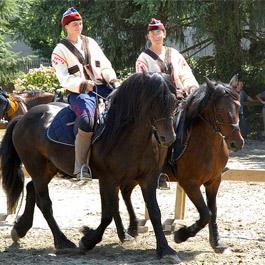 Le Haras National de Tarbes