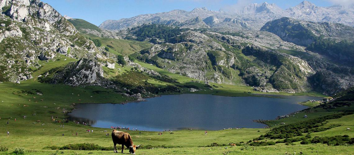 Le parc national des Pyrénées